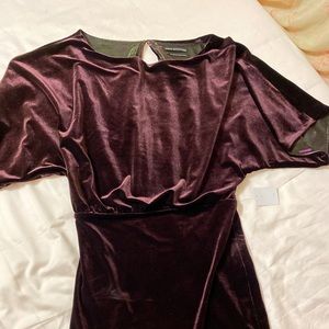 Wine Velvet Dress NWT